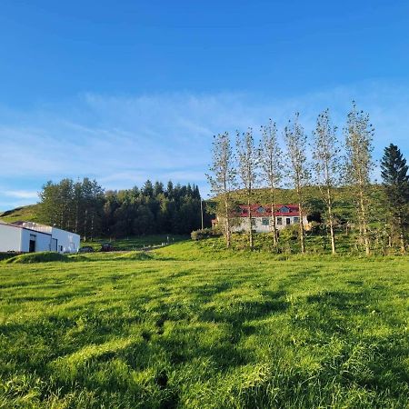 The Old House Apartamento Selfoss Exterior foto