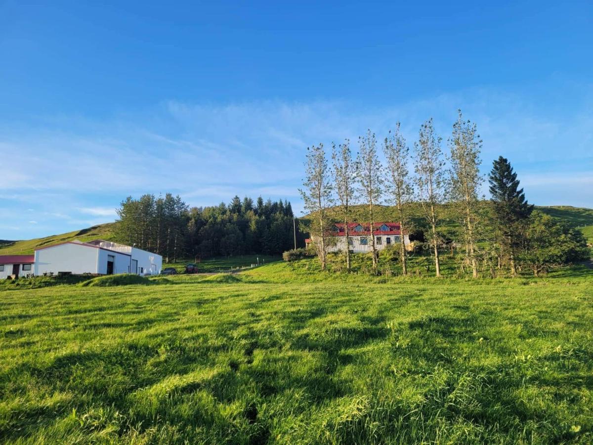 The Old House Apartamento Selfoss Exterior foto